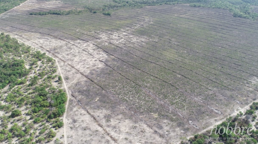 Fazenda vender em Chapadinha - Maranhão - 1.412 hectares